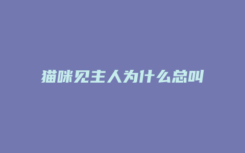 猫咪见主人为什么总叫个不停