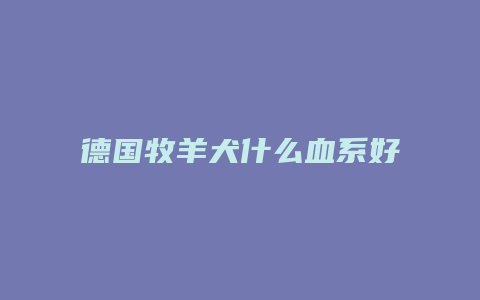 德国牧羊犬什么血系好