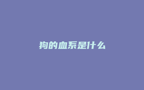 狗的血系是什么