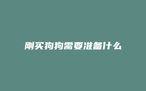 刚买狗狗需要准备什么东西