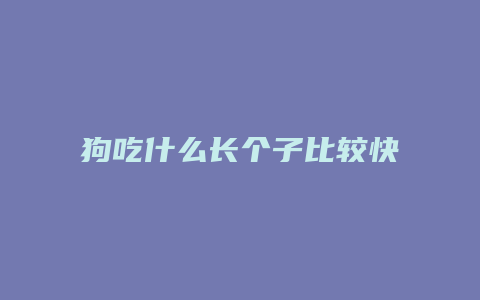 狗吃什么长个子比较快