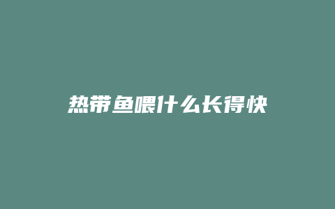 热带鱼喂什么长得快