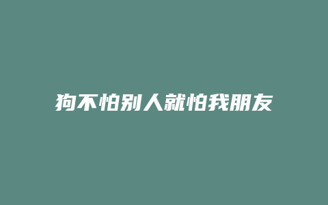 狗不怕别人就怕我朋友是为什么