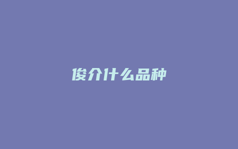 俊介什么品种