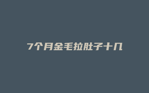 7个月金毛拉肚子十几天吃什么药