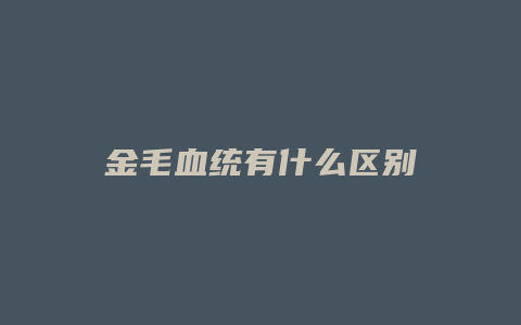 金毛血统有什么区别