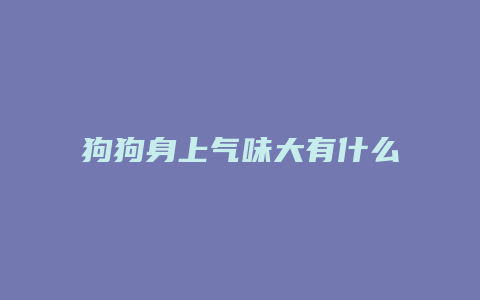 狗狗身上气味大有什么办法吗