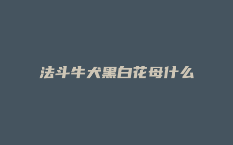 法斗牛犬黑白花母什么狗配好