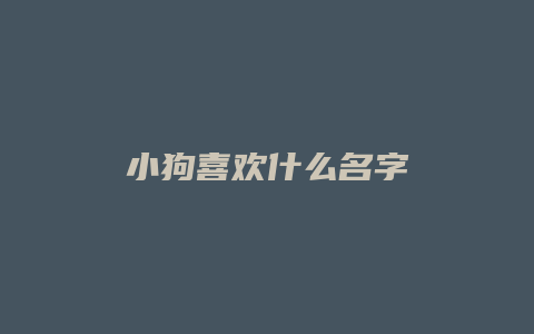 小狗喜欢什么名字