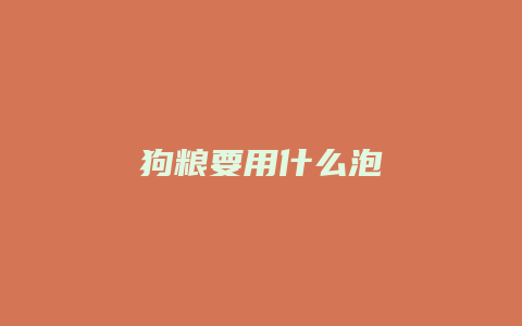 狗粮要用什么泡