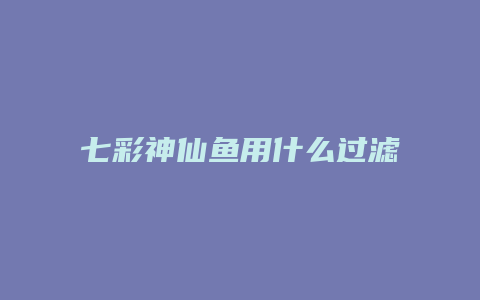 七彩神仙鱼用什么过滤