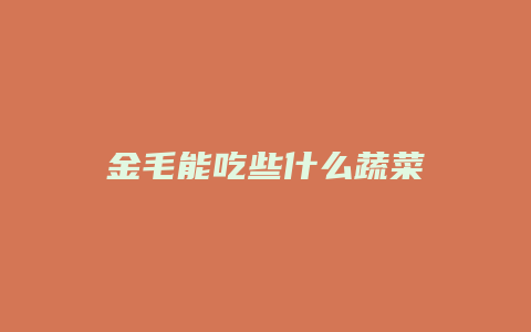 金毛能吃些什么蔬菜