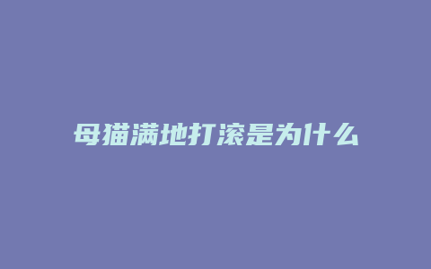 母猫满地打滚是为什么