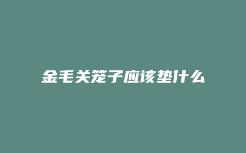 金毛关笼子应该垫什么