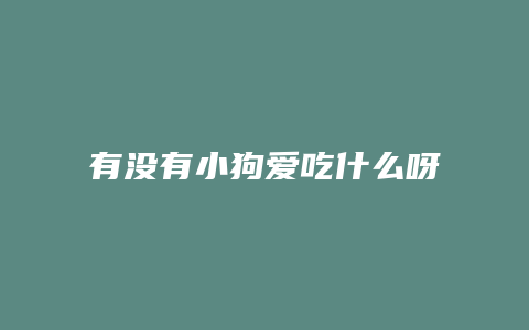 有没有小狗爱吃什么呀