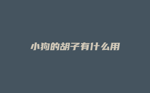 小狗的胡子有什么用