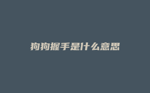 狗狗握手是什么意思