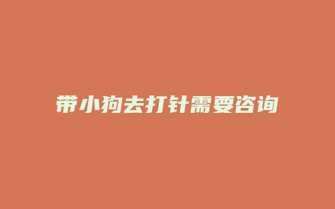 带小狗去打针需要咨询什么