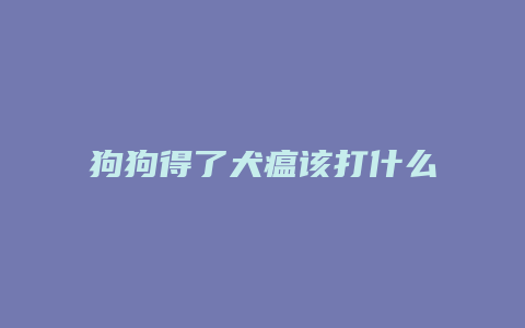 狗狗得了犬瘟该打什么