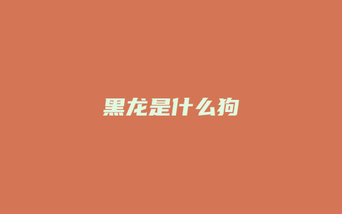 黑龙是什么狗