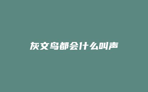 灰文鸟都会什么叫声