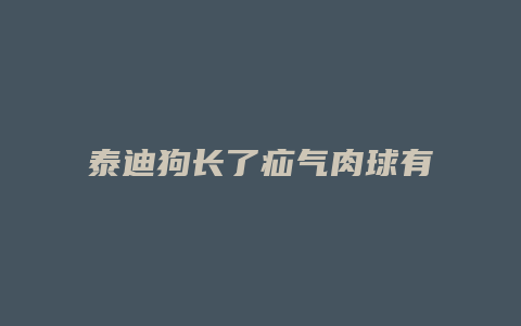 泰迪狗长了疝气肉球有什么危害