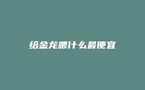 给金龙喂什么最便宜