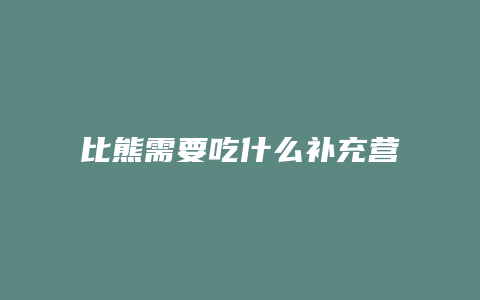 比熊需要吃什么补充营养