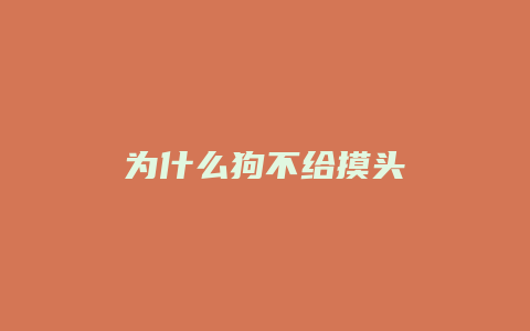 为什么狗不给摸头