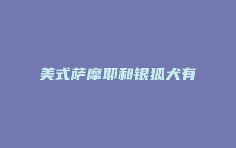 美式萨摩耶和银狐犬有什么不一样