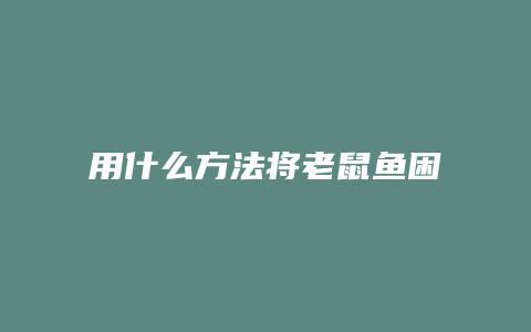 用什么方法将老鼠鱼困住治