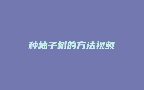 种柚子树的方法视频