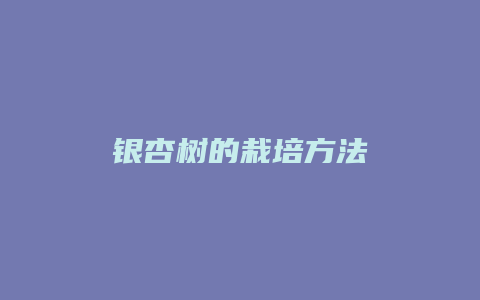 银杏树的栽培方法