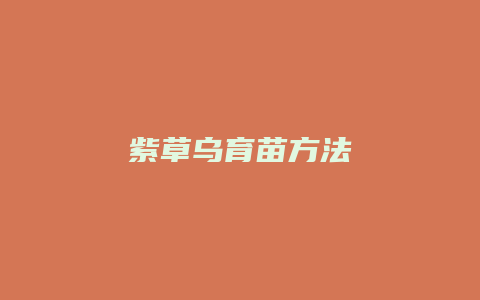 紫草乌育苗方法