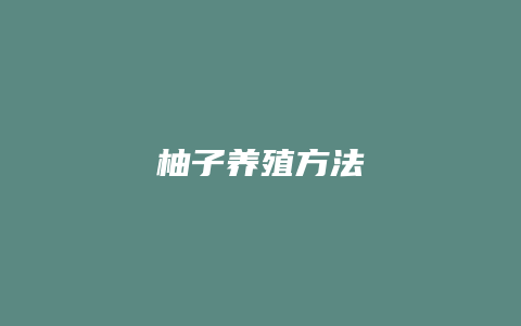 柚子养殖方法