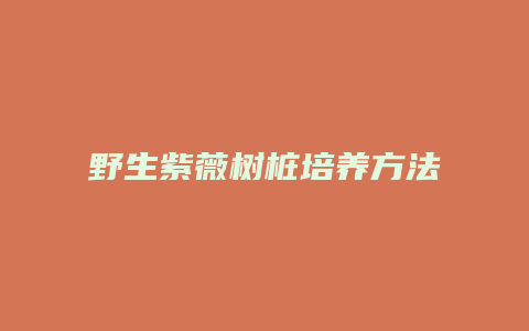 野生紫薇树桩培养方法