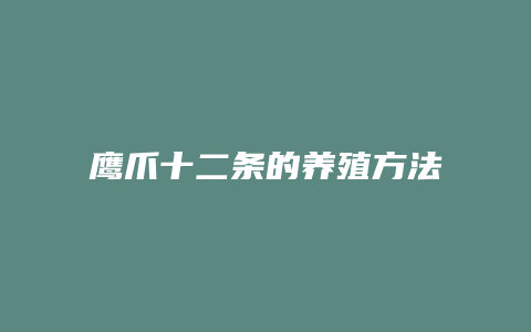 鹰爪十二条的养殖方法