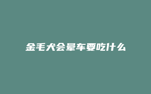 金毛犬会晕车要吃什么