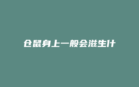 仓鼠身上一般会滋生什么细菌