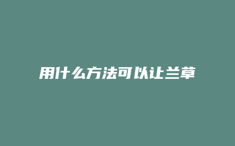 用什么方法可以让兰草长的快